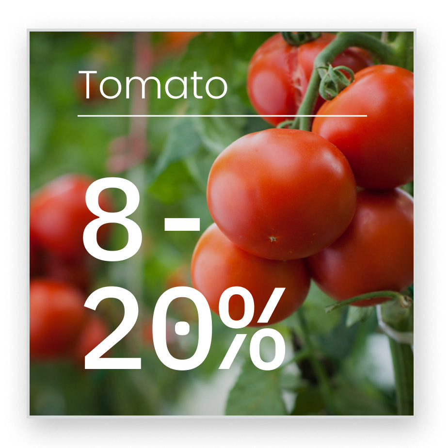 Tomato_Optimized